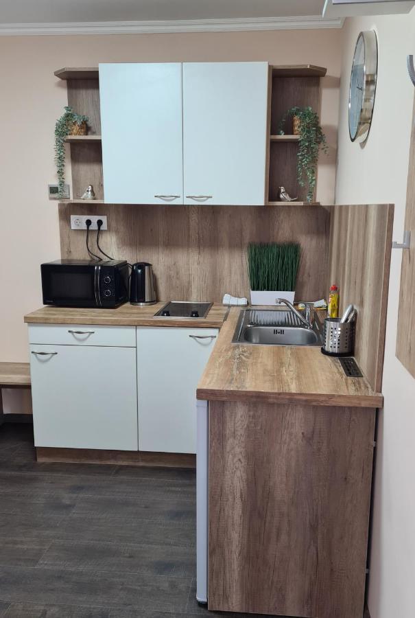 Lucsony Apartman Mosonmagyaróvár 外观 照片